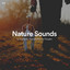 #01 Nature Sounds for Dog Walks, Naps and Peaceful Thoughts cover