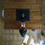 Ambiance for Wednesday Working cover