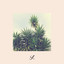 Alban - Trees Never Lie