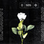 Dark cover