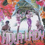 Orange Grove in California cover