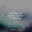 Fall Rain and Nature Sounds Collection cover