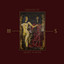 The Stain cover