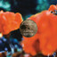 Planetarium - Gigi Masin Remix