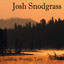 Near the Cross - Josh Snodgrass