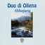 Losa de astragu cover