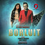 Borluit cover