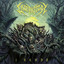 Dreams of the Formless cover