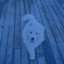 Echoes of Cute Dogs cover