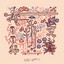 Clouds night cover