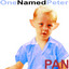 Pan cover