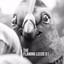 Moonbeams - Dimensi Biru