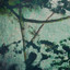 Rorschach (Feat. Flo State) artwork