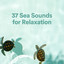 37 Sea Sounds for Relaxation cover
