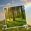 Ambience of Summer Forest Music cover