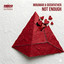 Not Enough - Extended Mix