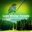 Lush Winter Forests cover
