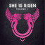 Simon Zealotes cover