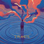 Fenice cover