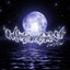Niterealm cover