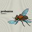 Promo - Phillipe Hardy Burgundies