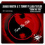 Juanjo Martin, T. Tommy, Lara Taylor - Turn The Tide
