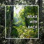 Relax with Bach cover