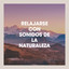 Relajarse Con Sonidos De La Naturaleza cover