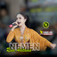 Nemen cover