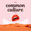 Common Culture, Vol. VI cover