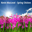 Kevin MacLeod - City Sunshine