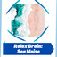 Relax Brain: Sea Noise cover