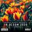 Global DJ Broadcast - In Bloom 2020 cover
