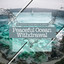 Peaceful Ocean Withdrawal cover