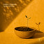 Seeds of Hope - Dario Crisman