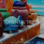 Oriental Trip, Vol. 5 (Compiled by Dj Brahms) cover