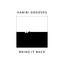 Bring it back Habibi Grooves
