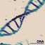 DNA - Extended Mix