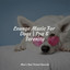 Lounge Music For Dogs | Spa & Serenity cover