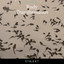 Rudy — Transformation (Kris Davis Extended Remix) cover art