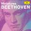 Beethoven Minatures cover