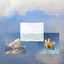 separate ways. cover