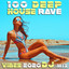 100 Deep House Rave Vibes 2020 (DJ Mix) cover