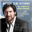After the Storm cover