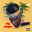 The Summer cover