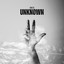 Unknown - Hévízi Nyár