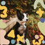 Bgm for Sleepy Pups cover