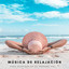 Música De Relajación Para Respirar En El Océano Vol. 1 cover