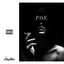 P.O.V. cover
