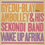 Gyedu Blay Ambolley - Ochoko Bila